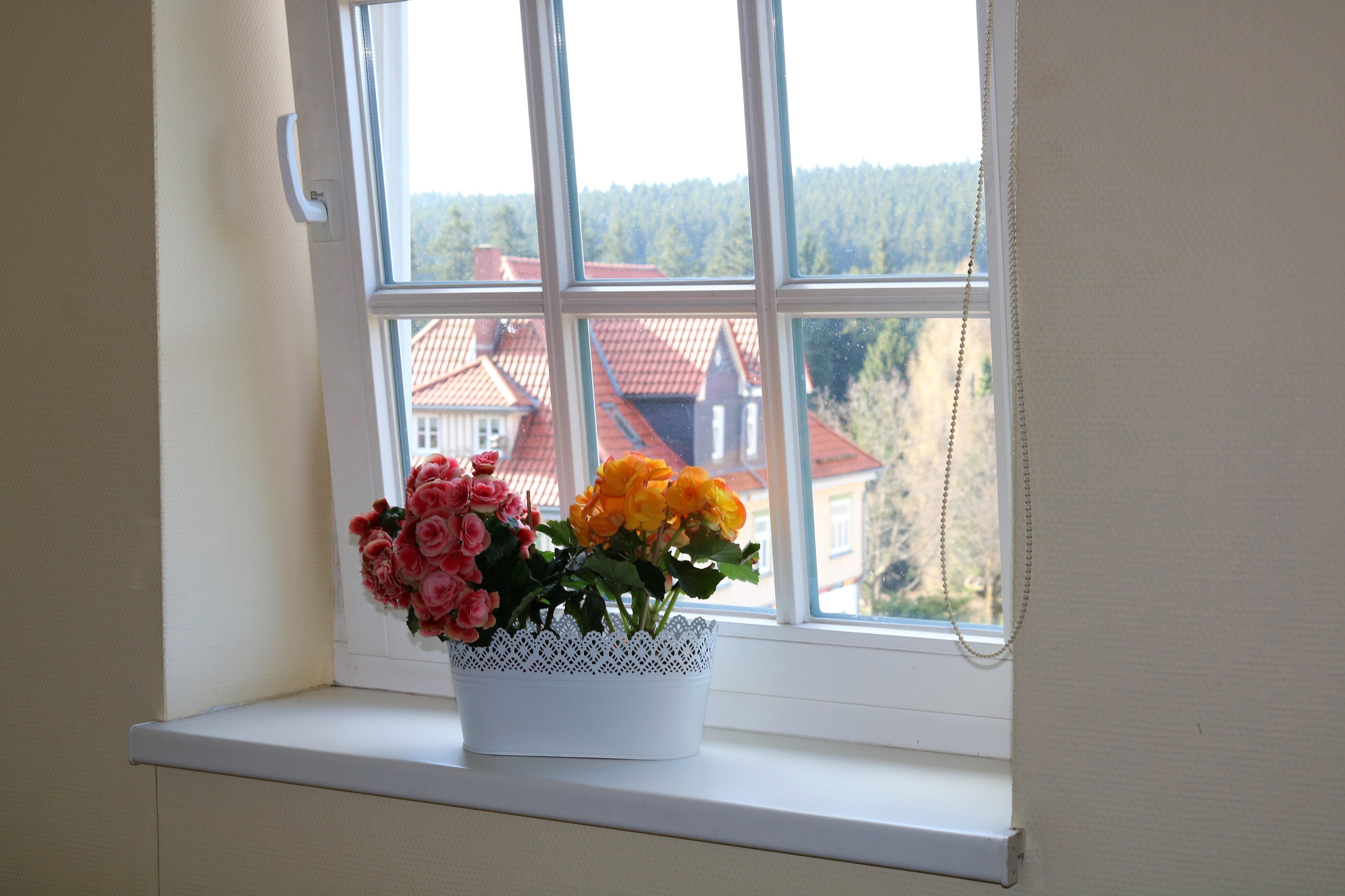 Regiohotel Am Brocken Schierke Ngoại thất bức ảnh